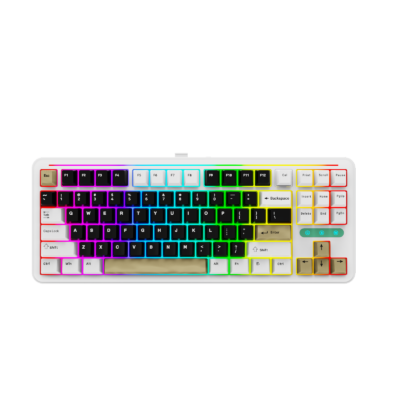 LDON LX87 TKL WIRELESS MECHANICAL KEYBOARD – BLACK & WHITE